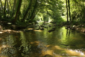 Riera de Santa Coloma de Farners
